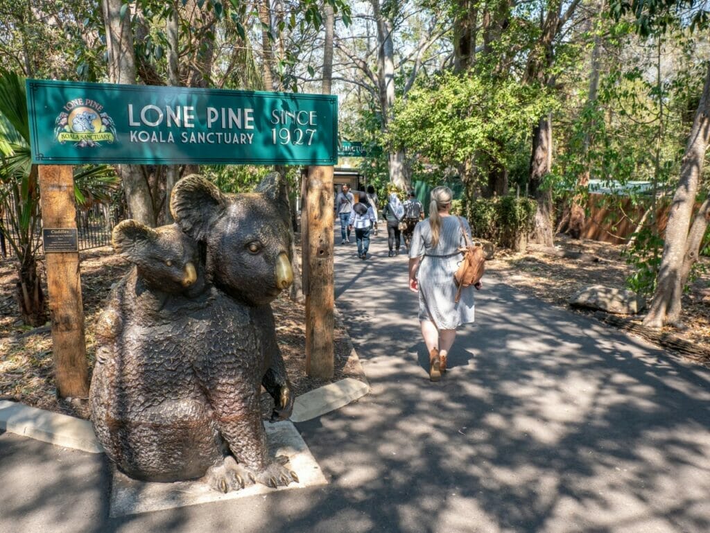 lone-pine-koala-sanctuary-Brisbane - Londoner In Sydney lone-pine-koala-sanctuary-brisbane