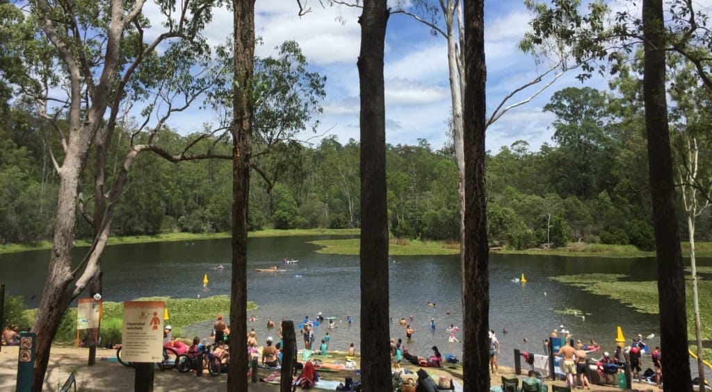 Enoggera-Reservoir-best-things-to-do-in-brisbane - Londoner In Sydney Enoggera-Reservoir-best-things-to-do-in-brisbane