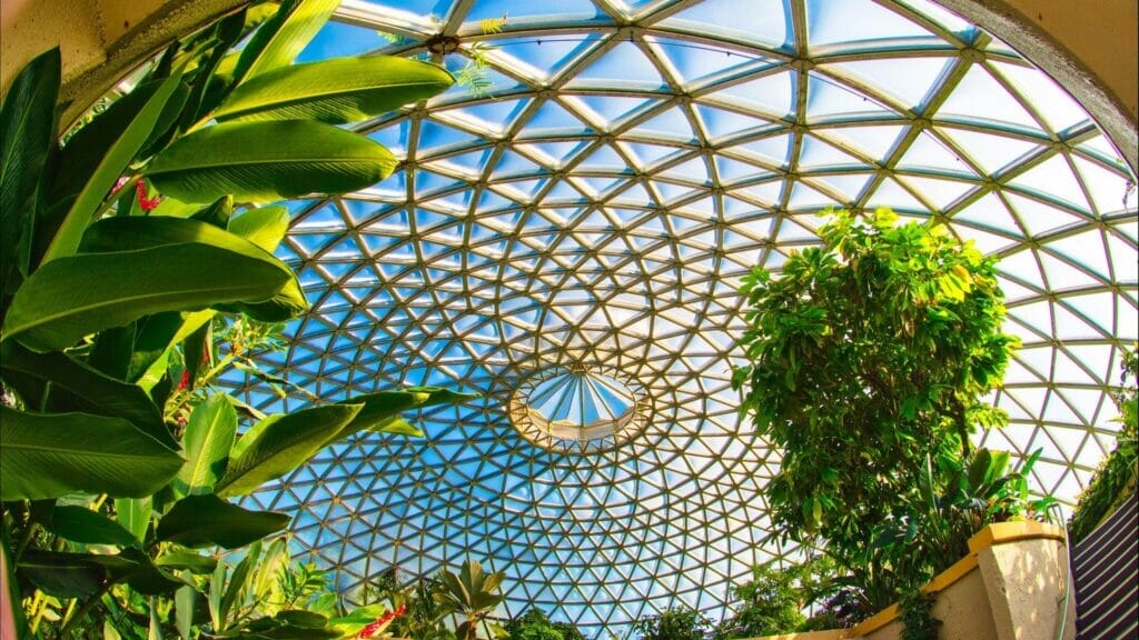 Brisbane-Botanic-Gardens 