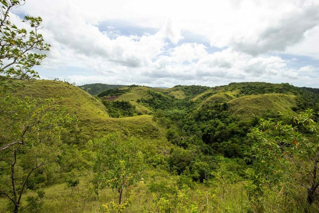 waimarang-waterfall-path-sumba