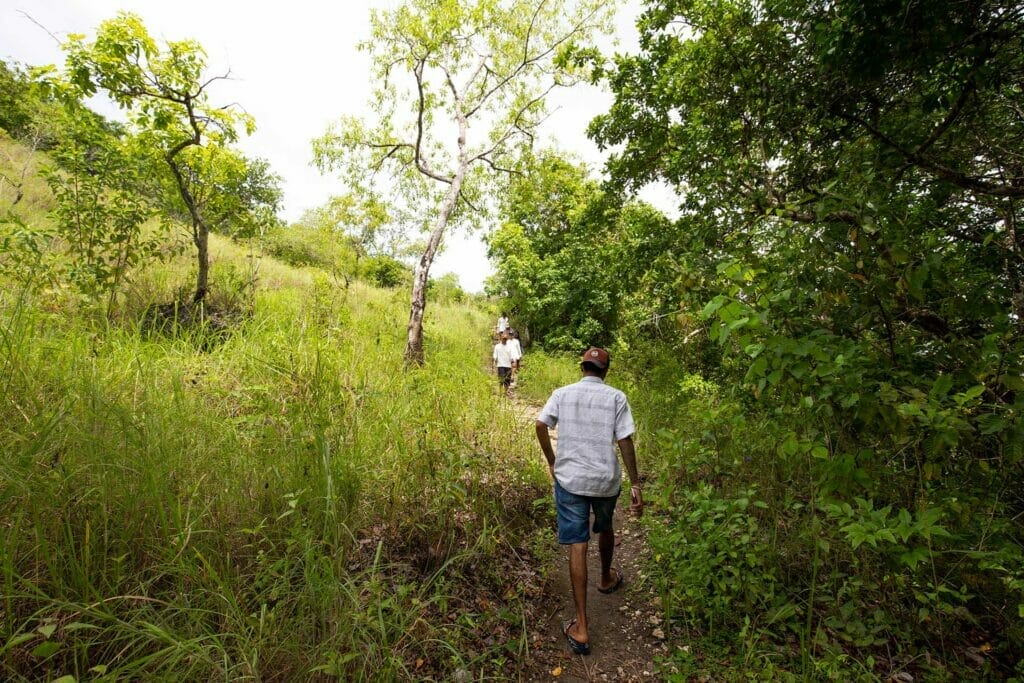 waimarang-waterfall-path-sumba