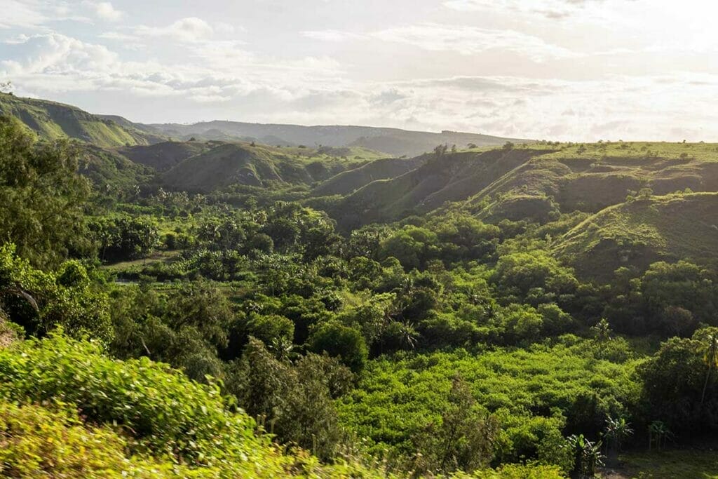 tangeddu-waterfall-sumba-island