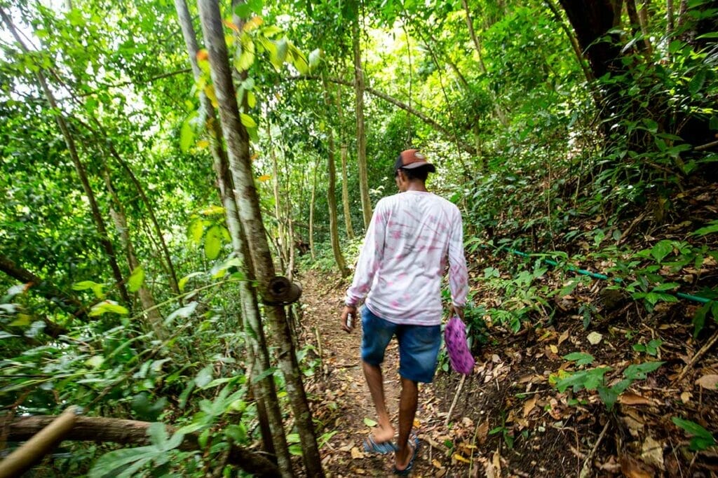 lapopu-waterfall-sumba-island