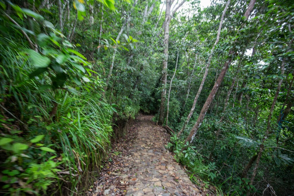 wae-rebo-walking-path