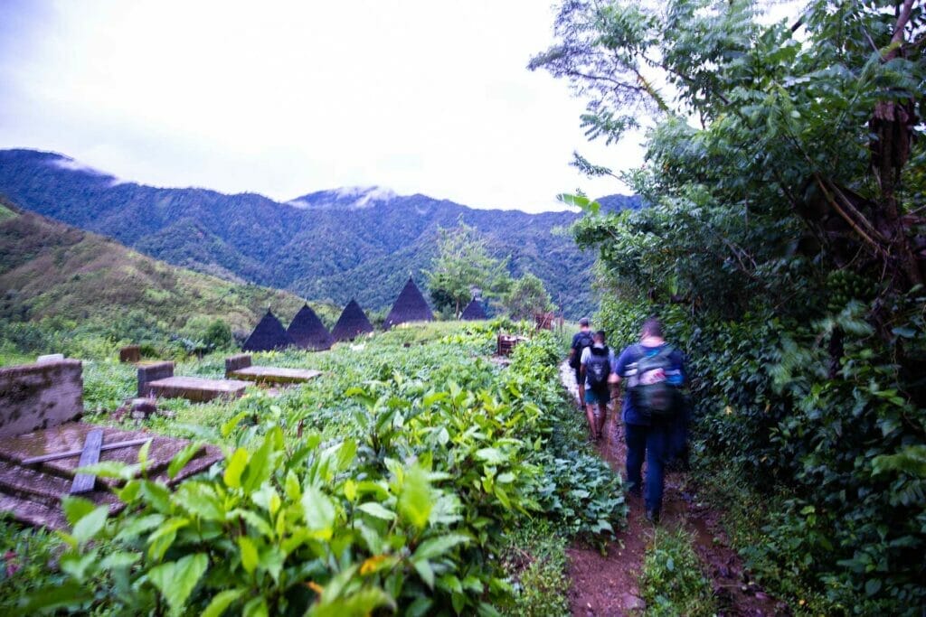 wae-rebo-village-walk