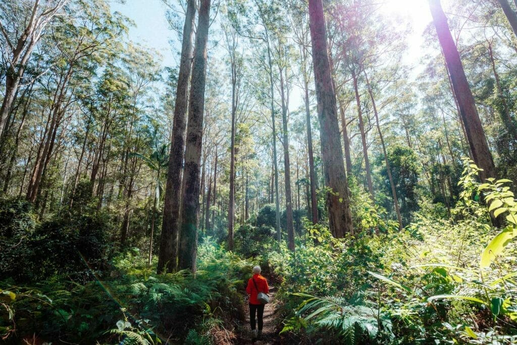 somerset-trail-daguilar-national-park-tips - Londoner In Sydney somerset-trail-daguilar-national-park-tips