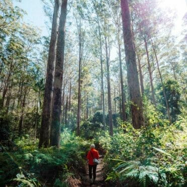 somerset-trail-daguilar-national-park-tips