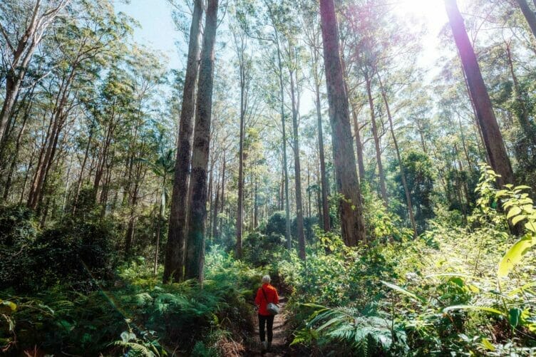 somerset-trail-daguilar-national-park-tips