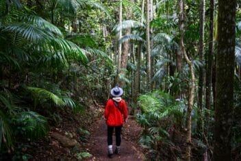 best-things-to-do-in-mount-tamborine