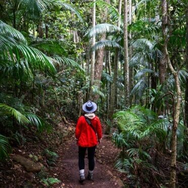 best-things-to-do-in-mount-tamborine