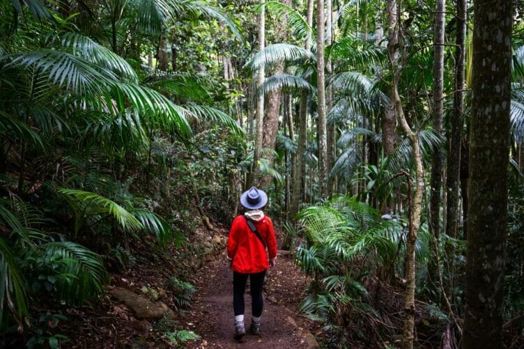 best-things-to-do-in-mount-tamborine