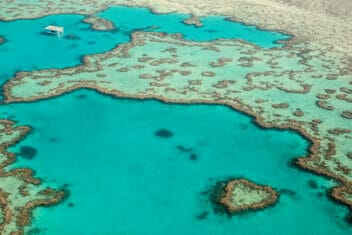 greyhound-bus-australia