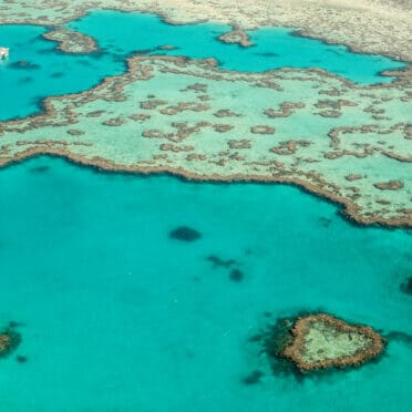 greyhound-bus-australia