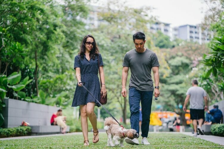 best-dog-parks-in-sydney