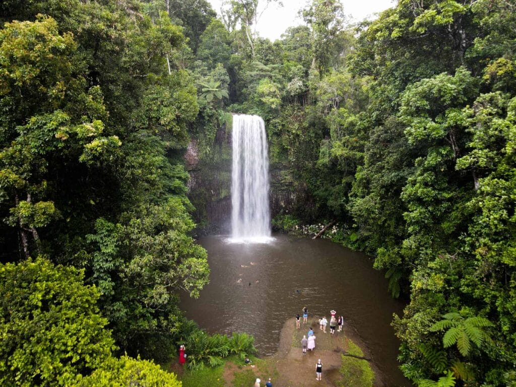 things-to-do-in-atherton-tablelands