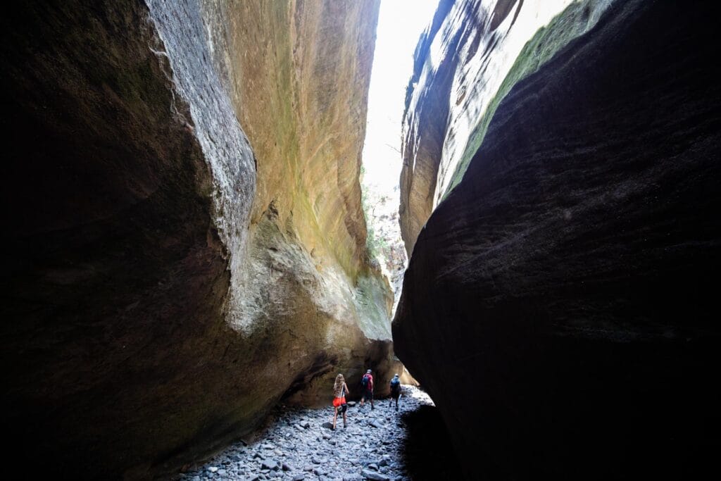 carnarvon-gorge-61 - Londoner In Sydney carnarvon-gorge-61