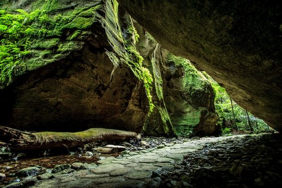 wards-canyon-carnarvon-gorge