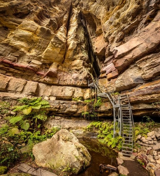 Trail to the he Amphitheatre at Carnarvon Gorge - Londoner In Sydney