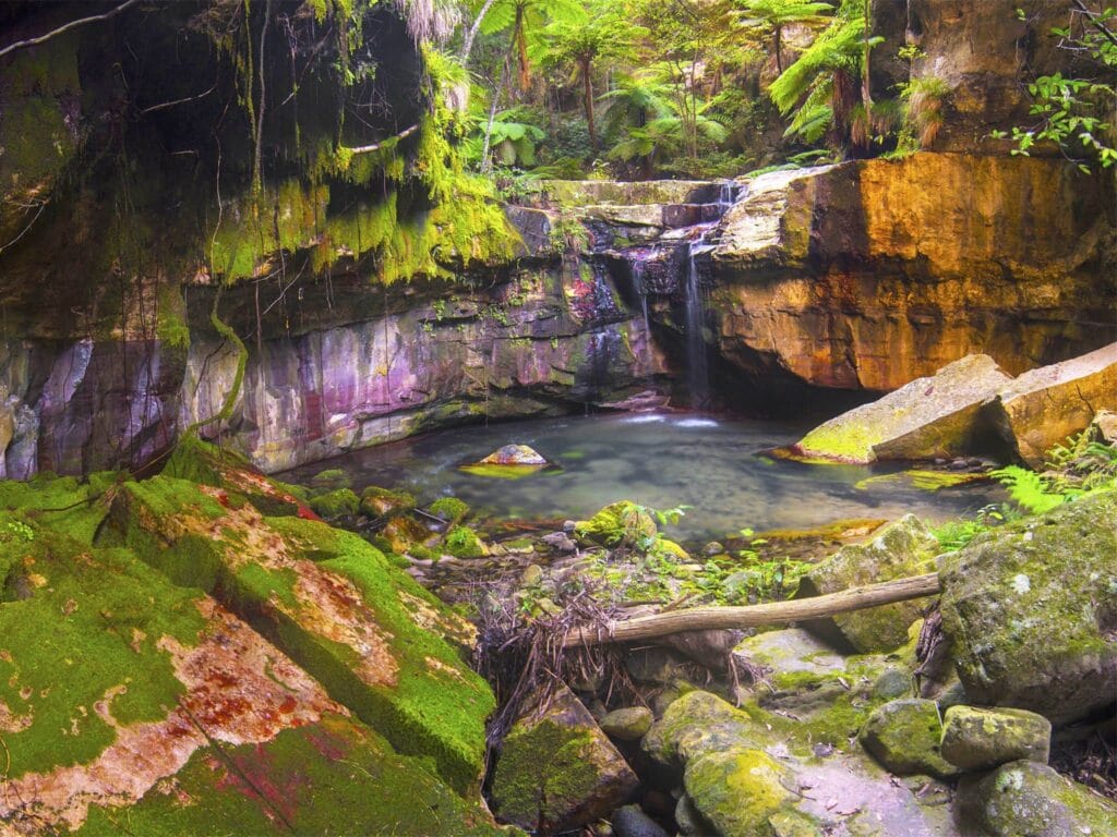 moss-garden-carnarvon-gorge - Londoner In Sydney moss-garden-carnarvon-gorge