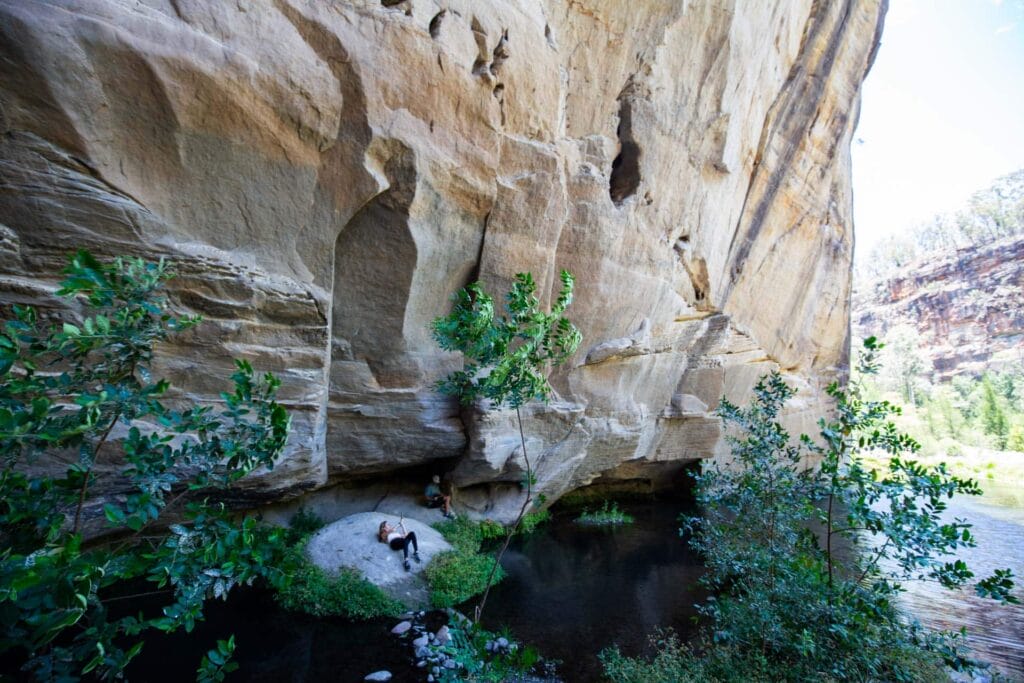 carnarvon-gorge-46 - Londoner In Sydney carnarvon-gorge-46