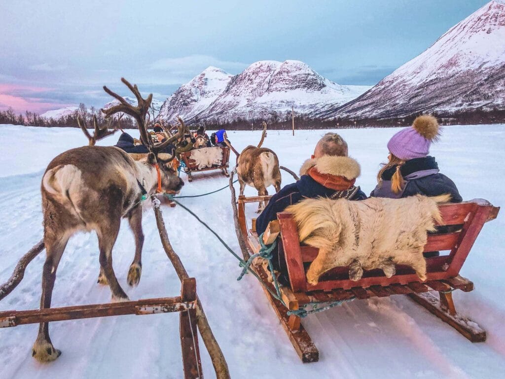 tromso-reindeer-sledding-tromso-lapland - Londoner In Sydney tromso-reindeer-sledding-tromso-lapland