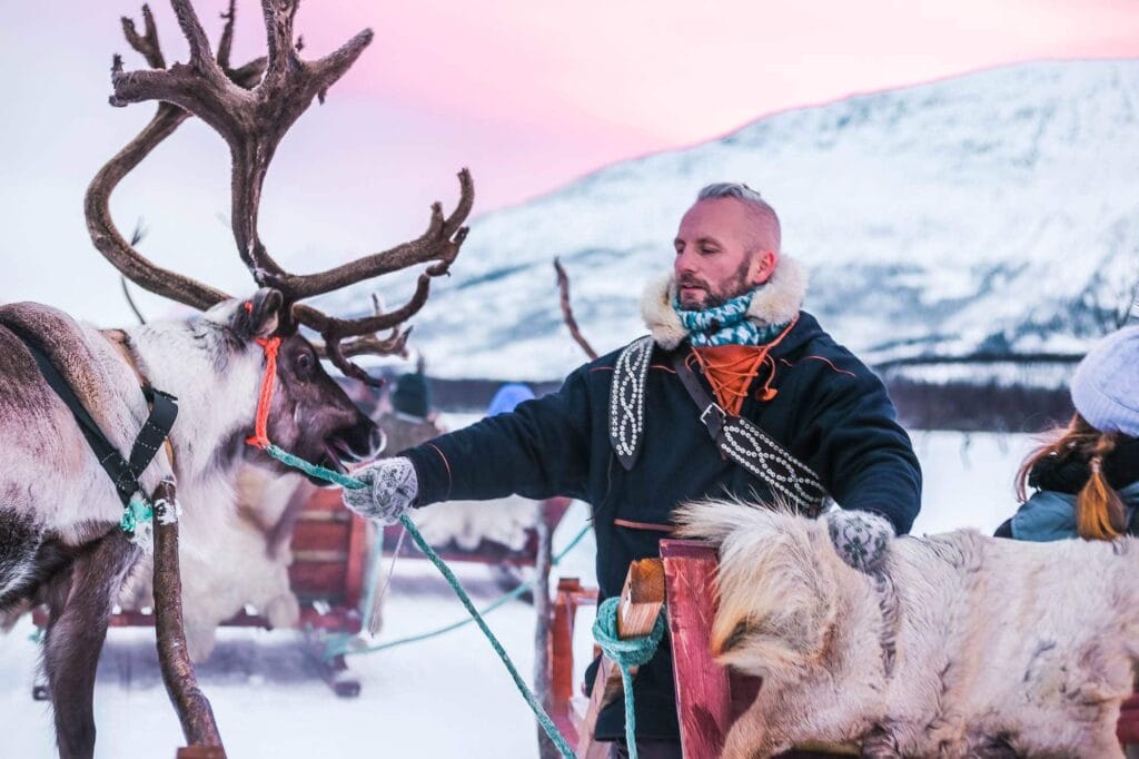 tromso-lapland-reindeer-sledding - Londoner In Sydney tromso-lapland-reindeer-sledding