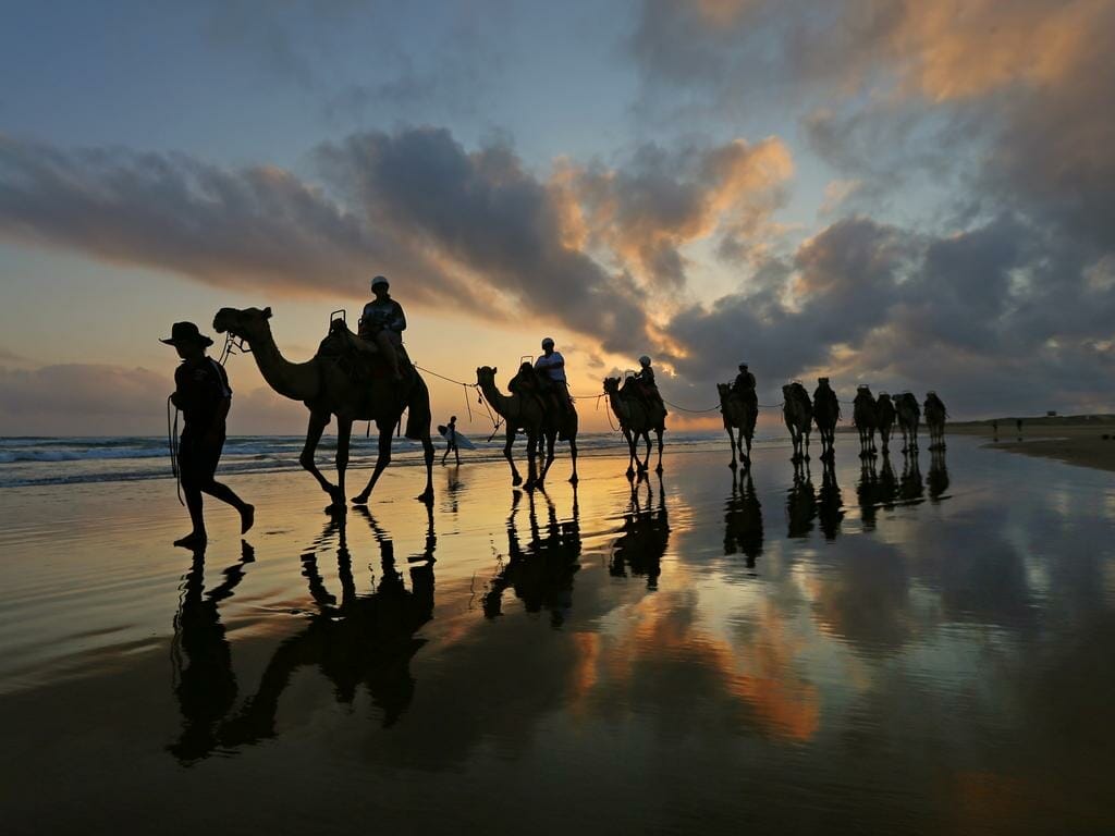 camel-rides-port-stephens