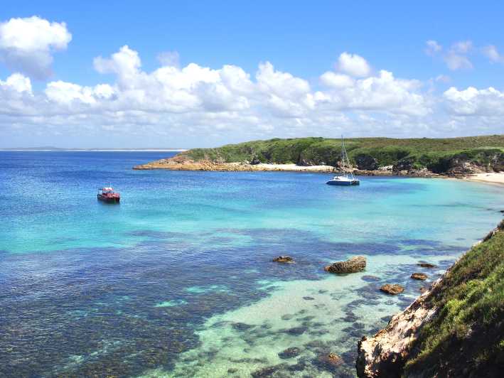 snorkelling-port-stephens