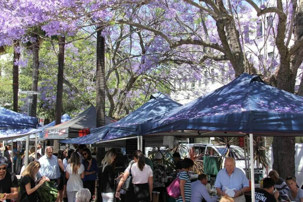 double-bay-farmers-markets-sydney - Londoner In Sydney double-bay-farmers-markets-sydney