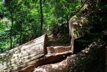 greenes-falls-mount-glorious