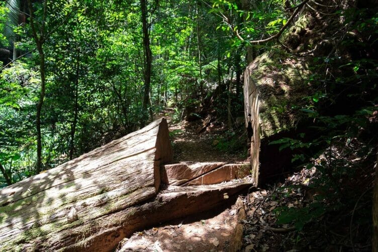 greenes-falls-mount-glorious