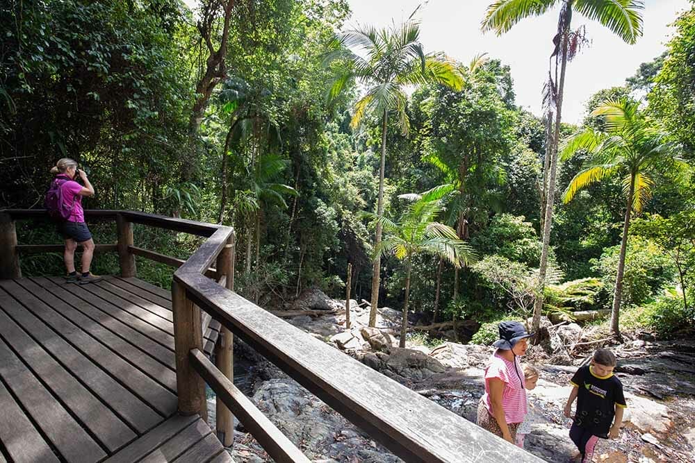 greenes-falls-lookout-mount-glorious - Londoner In Sydney greenes-falls-lookout-mount-glorious