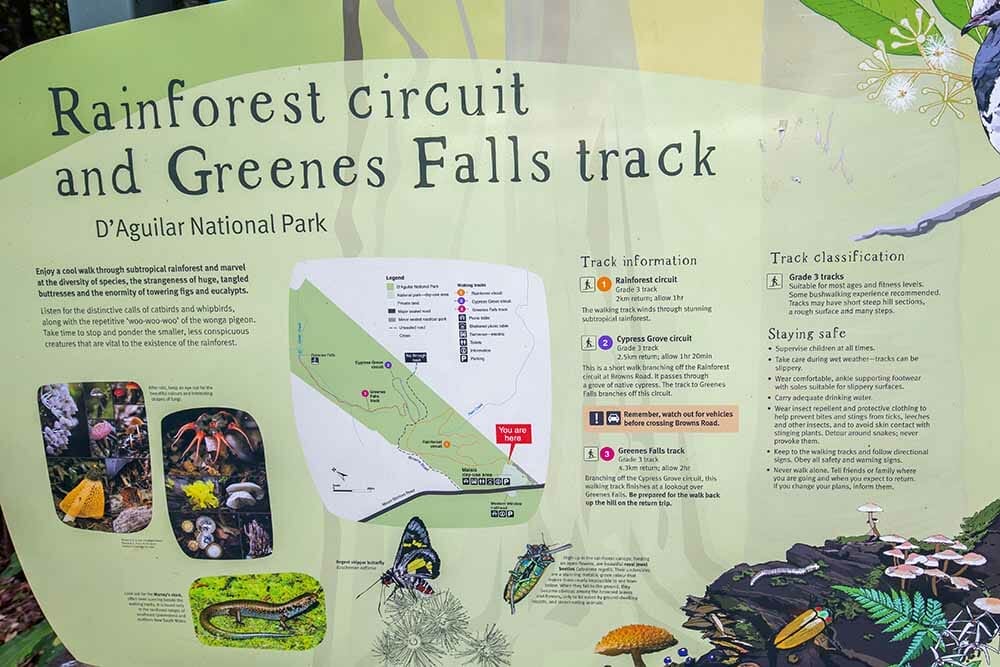 greenes-falls-mount-glorious - Londoner In Sydney greenes-falls-mount-glorious