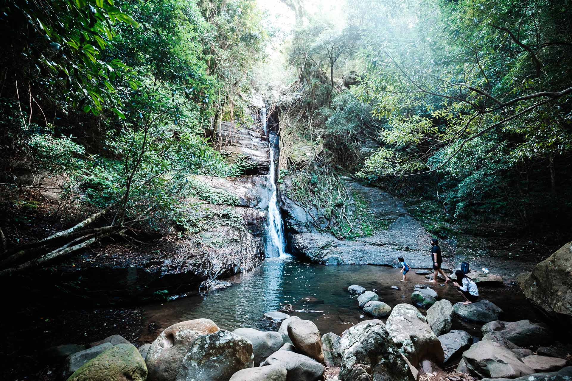 are dogs allowed at cascade falls