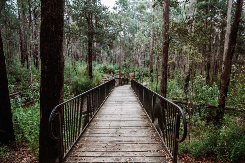 granite-falls-nsw - Londoner In Sydney granite-falls-nsw