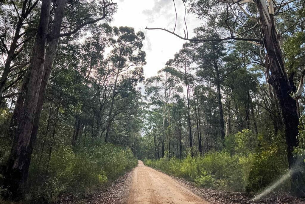 granite-falls-walking-track - Londoner In Sydney granite-falls-walking-track