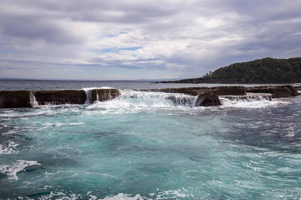 jervis-bay-passage-tour - Londoner In Sydney jervis-bay-passage-tour