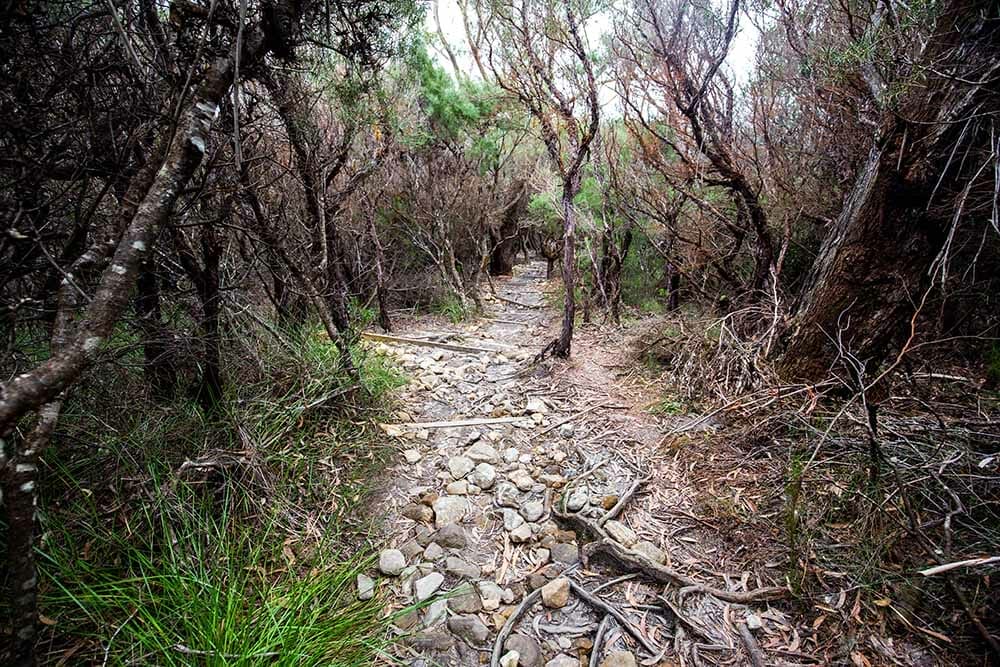 drawing-room-rocks-berry