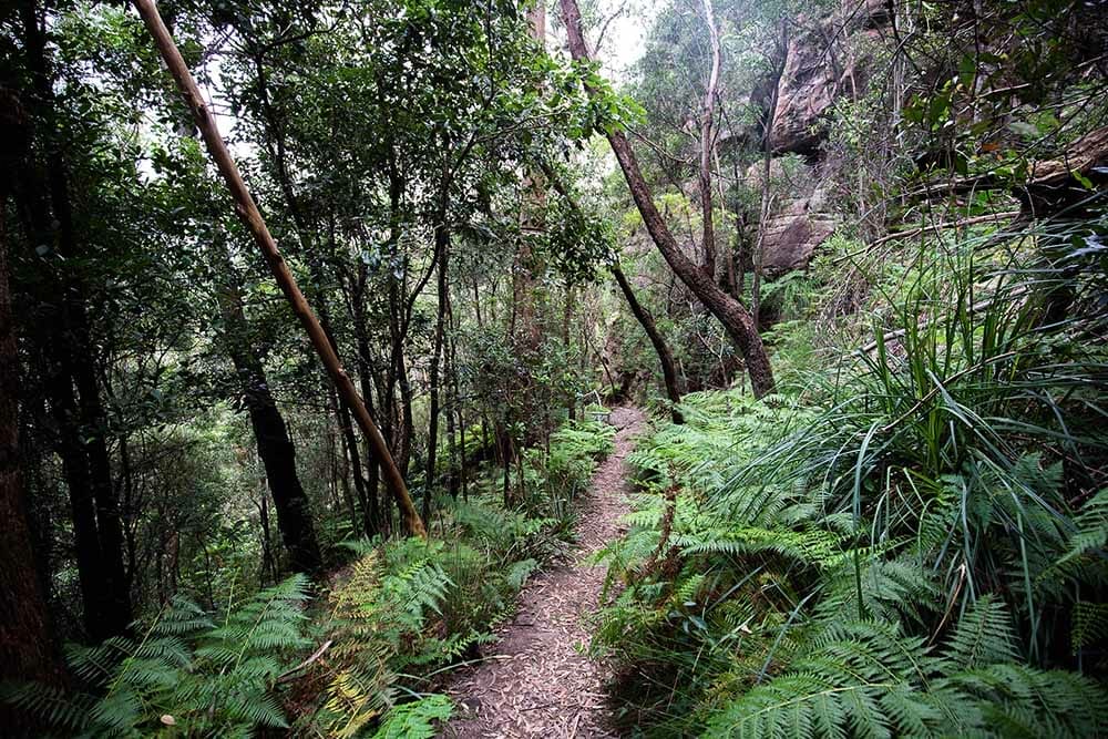 drawing-room-rocks-berry