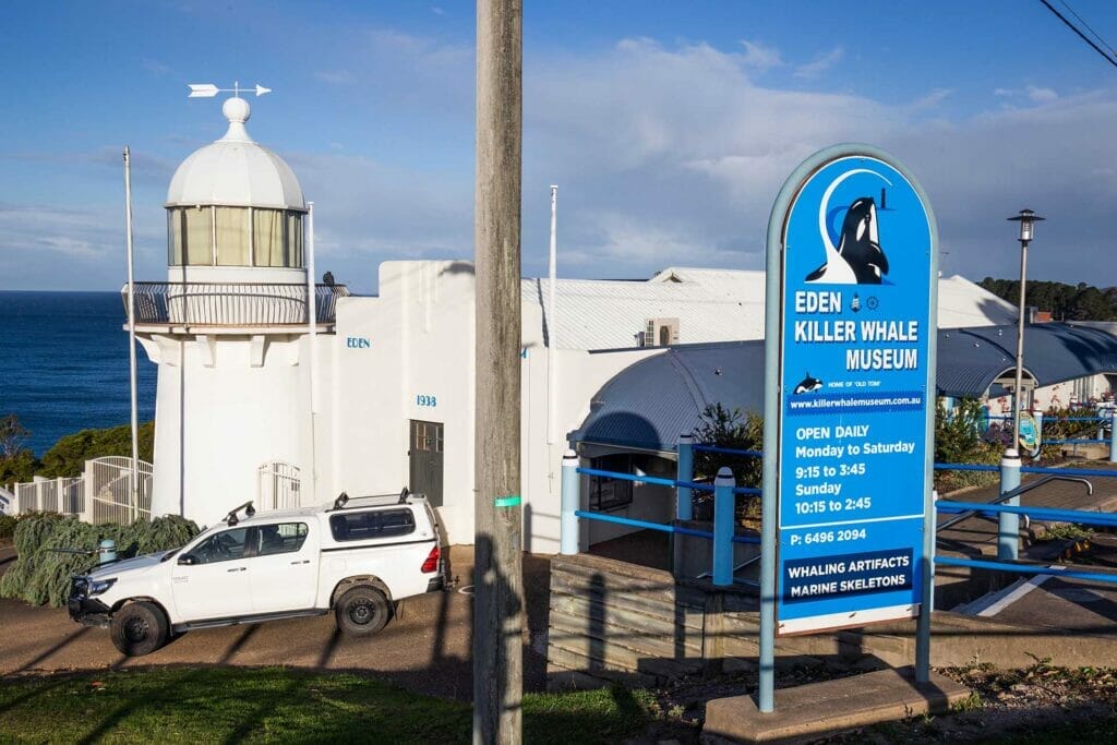 killer-whale-museum-eden - Londoner In Sydney killer-whale-museum-eden