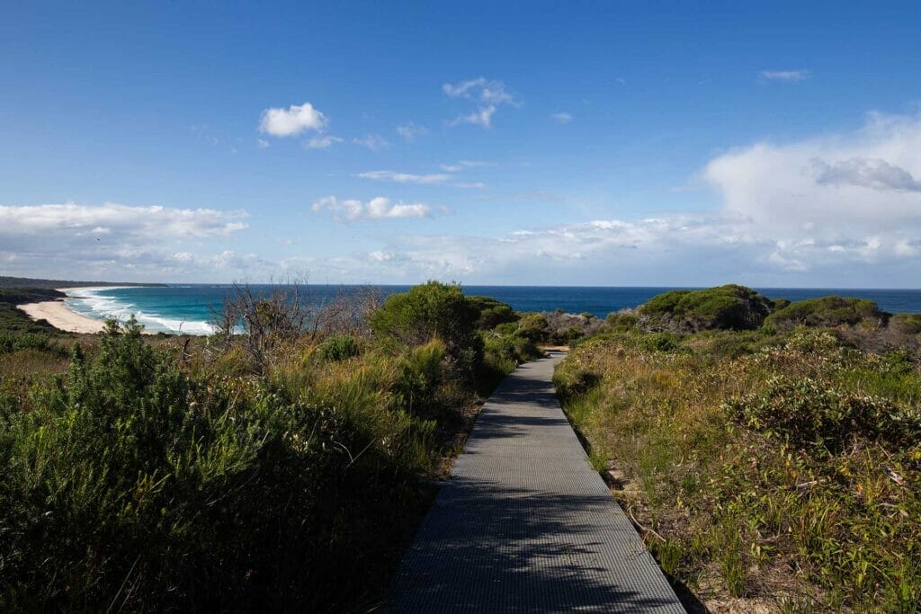 the-pinnacles-walking-track-merimbula-eden