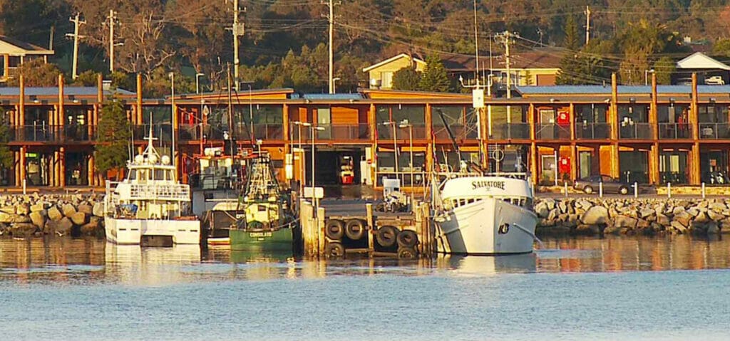 bermagui-fishermens-co-op - Londoner In Sydney bermagui-fishermens-co-op