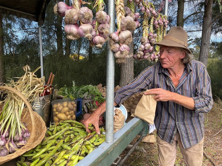 bermagui-growers-market