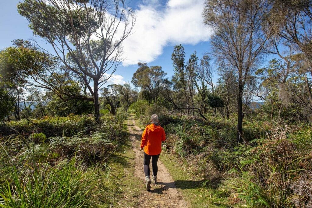 Wajurda-Point-Walking-Track