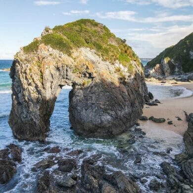 horse-head-rock-bermagui