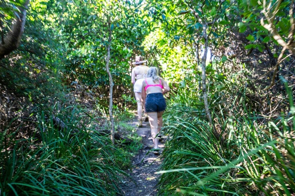 horse-head-walking-track-bermagui - Londoner In Sydney horse-head-walking-track-bermagui