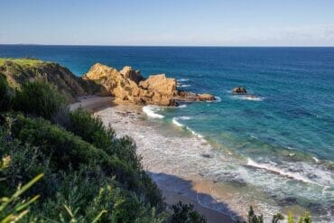 pebbly-beach-bermagui