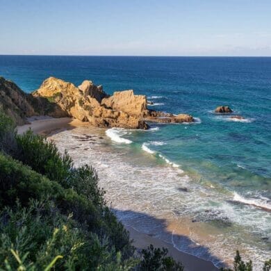 pebbly-beach-bermagui