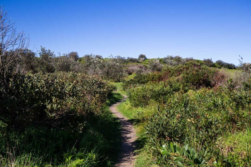 horse-head-rock-walk