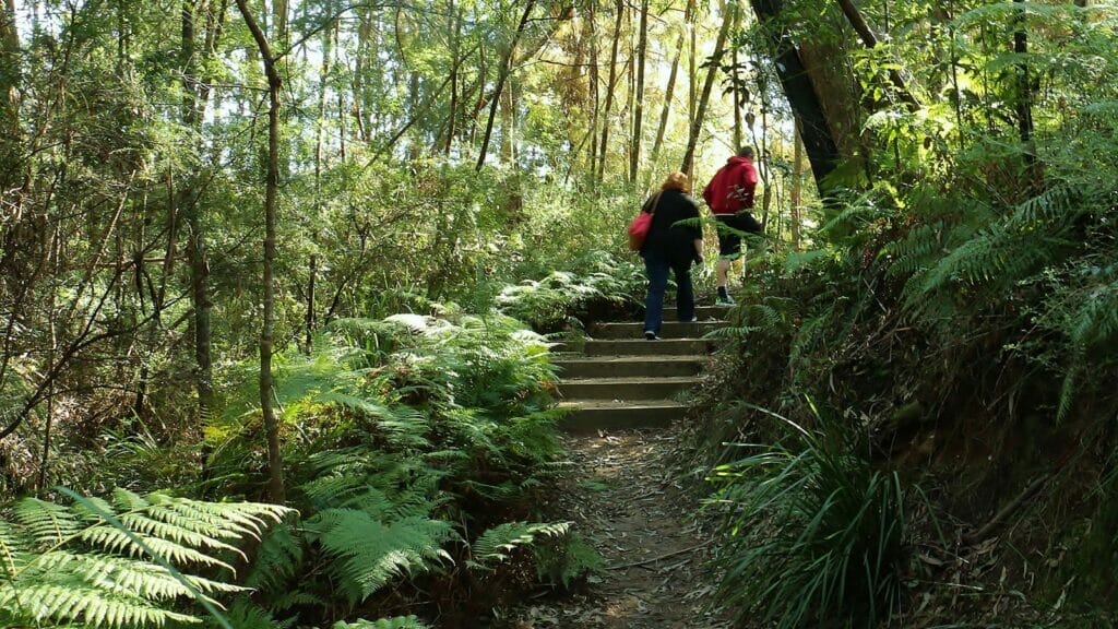 Eurobodalla-Regional-Botanic-Gardens - Londoner In Sydney Eurobodalla-Regional-Botanic-Gardens